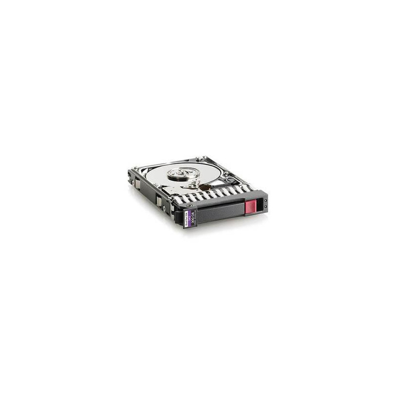 300GB 10K SAS 2.5 DP