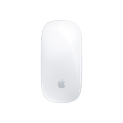 Apple Magic Mouse - Ratón - USB-C - multitáctil - inalámbrico - Blueto