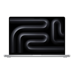 Apple MacBook Pro - M4 Pro - Apple M4 Pro 20-core - 24 GB RAM - 512 GB