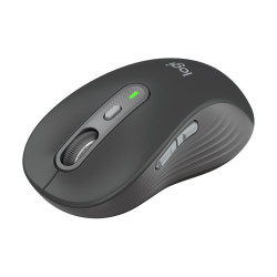 Logitech Signature M750 - Ratón - óptico - 6 botones - inalámbrico - 2