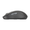 Logitech Signature M750 - Ratón - óptico - 6 botones - inalámbrico - 2