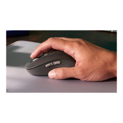 Logitech Signature M750 - Ratón - óptico - 6 botones - inalámbrico - 2