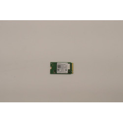 256GB M.2 2242 PCIe 4.0 NVMe