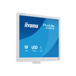 Monitor Iiyama 19 PULGADAS,BLANCO, Panel Tn, 3MS, 250CD/M2, | APLIUM