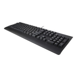 Lenovo Preferred Pro II - Teclado - full size - USB - QWERTY - sueco /