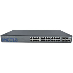 Commercial Managed Switch,