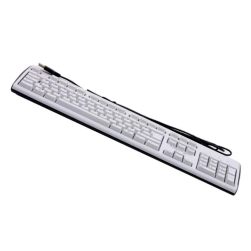 Usb Grey Keyboard (Swiss)