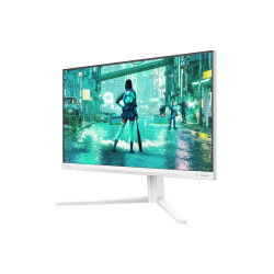 24M2N3201P/00 ,23,8' 16:9 Fast IPS 260Hz (OC, Native 240Hz) 1920x1080