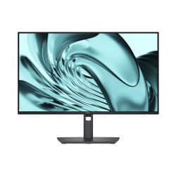 Dell Pro P P2426H - Monitor LED - 24" (23.8" visible) - 1920 x 1080 Fu