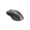 PROF BLUETOOTH MOUSE
