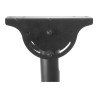 StarTech.com Soporte de Montaje en Acero de Techo para Televisor o Mon