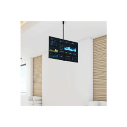StarTech.com Soporte de Techo VESA para Montaje de Pantallas y TV de 3