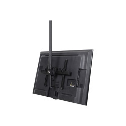 StarTech.com Soporte de Techo VESA para Montaje de Pantallas y TV de 3