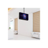 StarTech.com Soporte de Techo para 2 TV - Soporte VESA de Colgar de Al