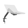 Soporte de brazo para monitor de escritorio - se adapta a pantallas de