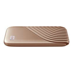 WD My Passport SSD WDBAGF0010BGD - SSD - cifrado - 1TB - externo (port