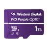 WD Purple SC QD101 memory | APLIUM