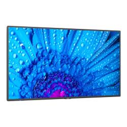 NEC MultiSync M491 - Message - M-Series - monitor LED - 49" - escritor