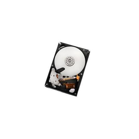 2TB SATAII 32MB, RAID