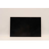 16-inch IPS LCD display panel