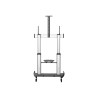 StarTech.com Soporte Móvil de TV - Carrito de TV Universal con Altura