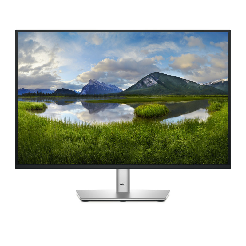 Dell 24" P2425E USB-C Hub Monitor