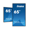 65" 3840x2160 UHD VA Haze 25% 500c