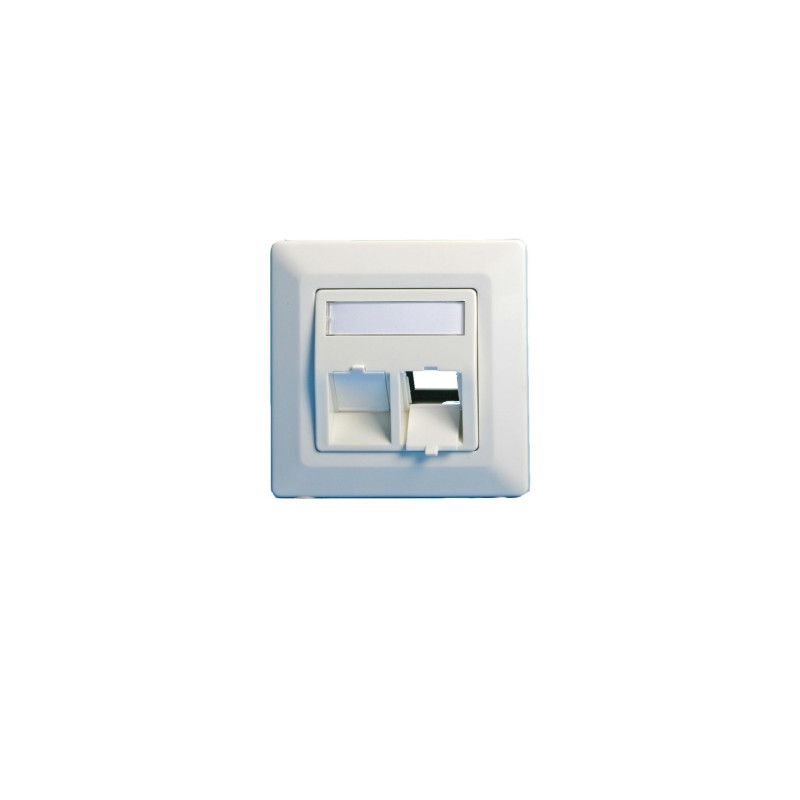 Wall plate, angled, double