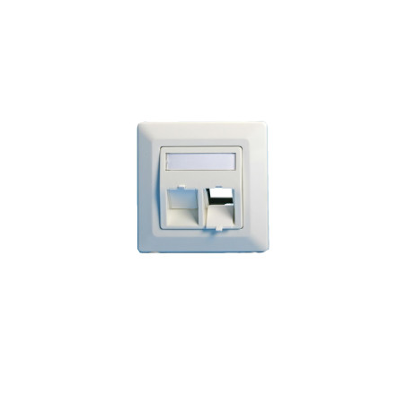 Wall plate, angled, double
