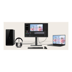 Monitor Profesional LG 24BA650-B 23.8"/ Full HD/ Multimedia/ Negro