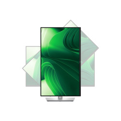 Dell DELL-P2425D - Pro 24 Plus qhd Monitor - | APLIUM