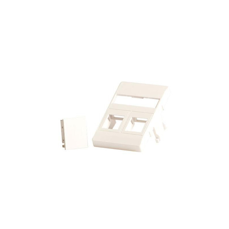Wall plate 2 x keystone for