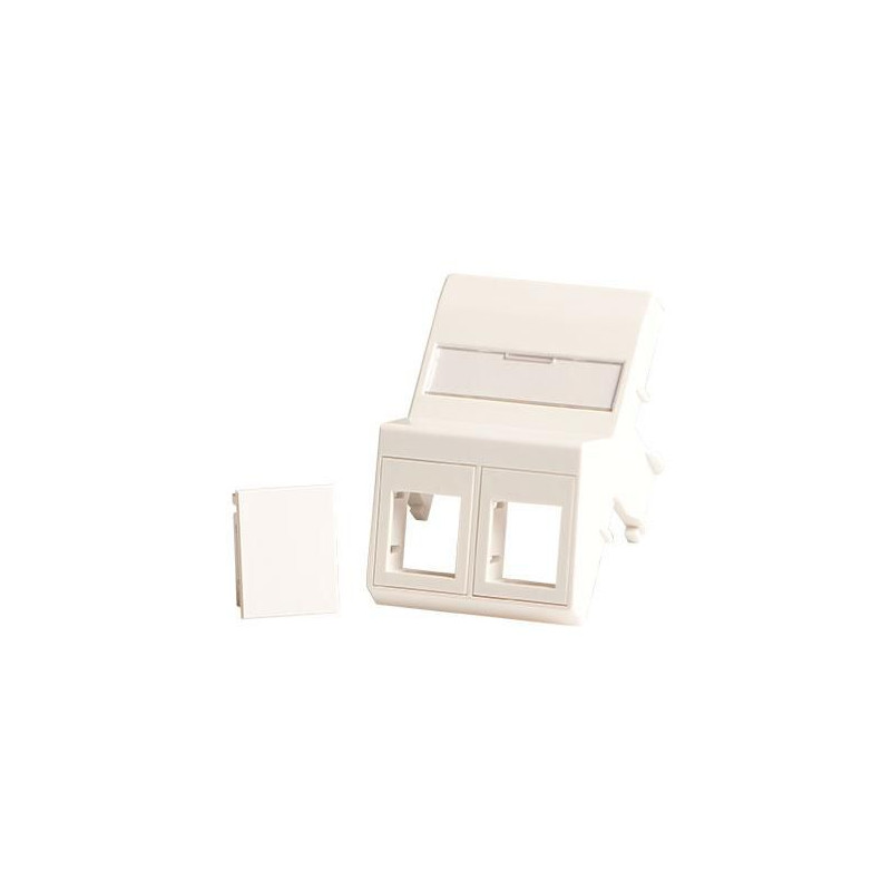 Wall plate, angled, 2 x