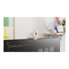 Logitech BRIO 300 - Webcam - color - 2 MP - 1920 x 1080 - 1080p, 720p