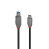 2m USB 3.2 Type C to B Cable,