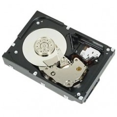 dell-npos-2tb-7-2k-sata-6gbps-512n-3-5cabled-1.jpg