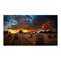 SAMSUNG 46" VM46B-U