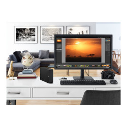 Seagate Expansion STKP20000400 - Disco duro - 20TB - externo (sobremes