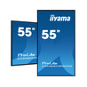 55" 3840x2160 UHD VA Haze 25% 500c