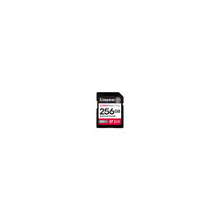 256GB Canvas React Plus for Full HD/4K