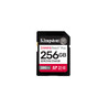256GB Canvas React Plus for Full HD/4K