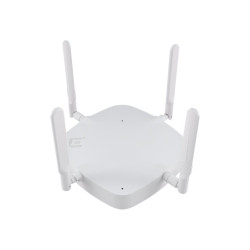 Extreme Networks ExtremeWireless AP3000X - Punto de acceso inalámbrico