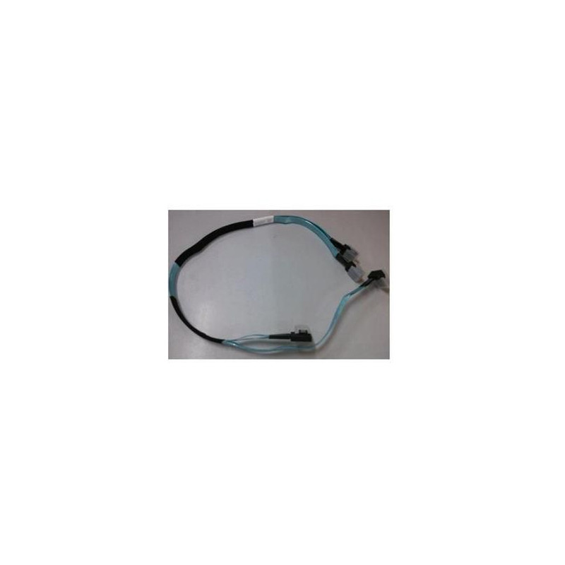 770mm Dual Mini SAS cable