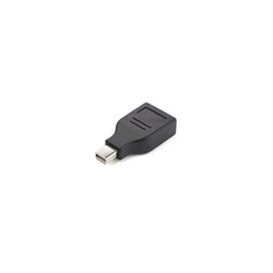 Mini DisplayPort to DisplayPort adapter