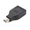 Mini DisplayPort to DisplayPort adapter