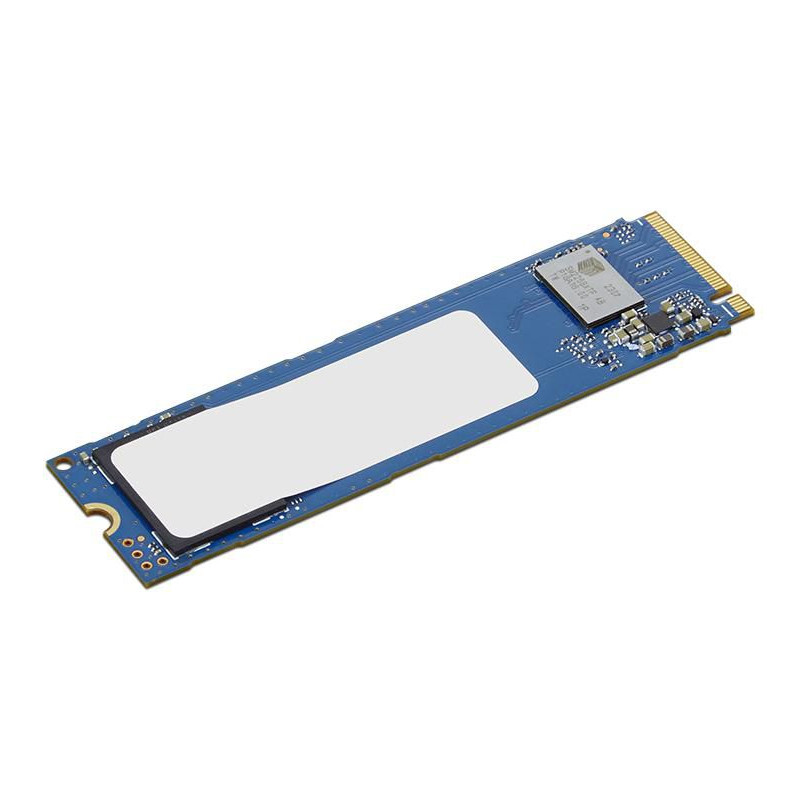 Internal Solid State Drive