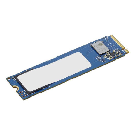Internal Solid State Drive