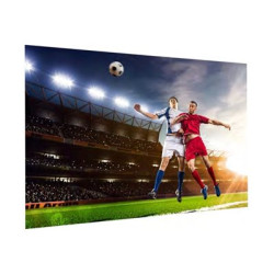 Projecta FullVision 138x220 HD Progressi | APLIUM