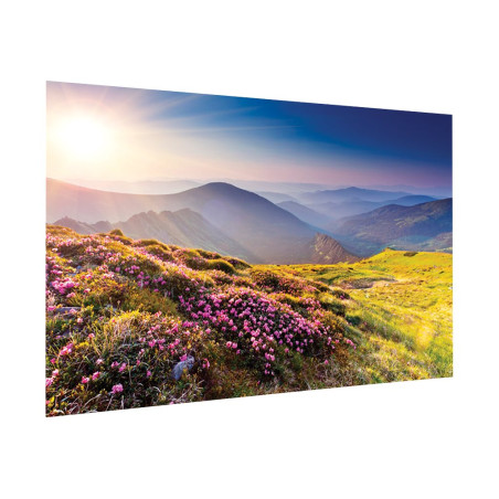 Projecta FullVision 281x450 HD Progressi | APLIUM