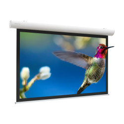 Projecta Elpro Concept RF 219x390 Matte | APLIUM